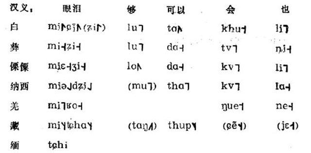 白族语言文字图片