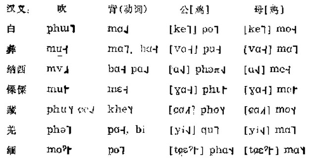 白族语言文字图片